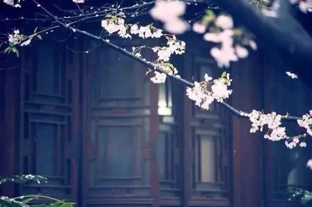 Anxiety Of A Beauty by Qin Guan -  Parting   Melancholy   Ci Lyrics   Nostalgia 