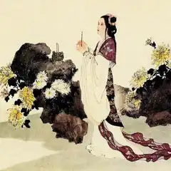 Bao Junhui