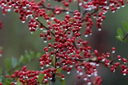 Love and Romance in Chinese Poetry Love and Romance in Chinese Poetry