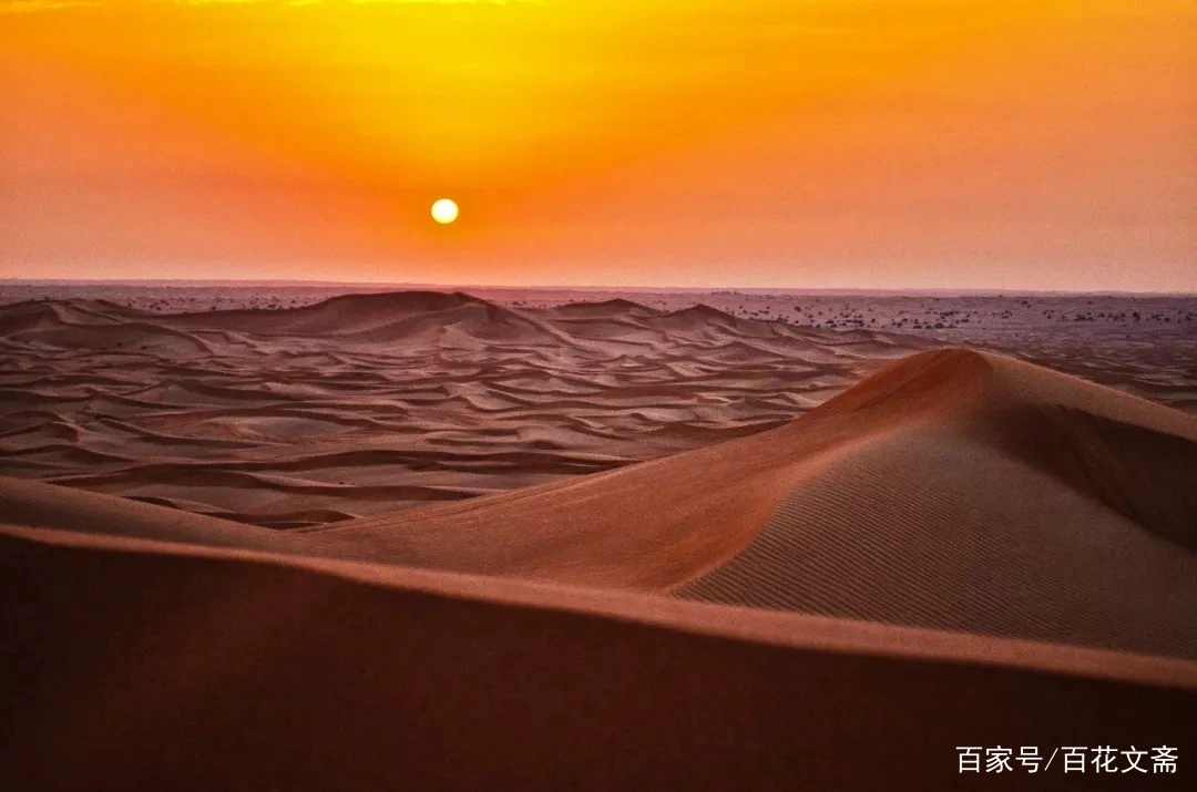 In the Desert by Cen Shen -  Quatrain   Desert   Solitude   Frontier   Night 